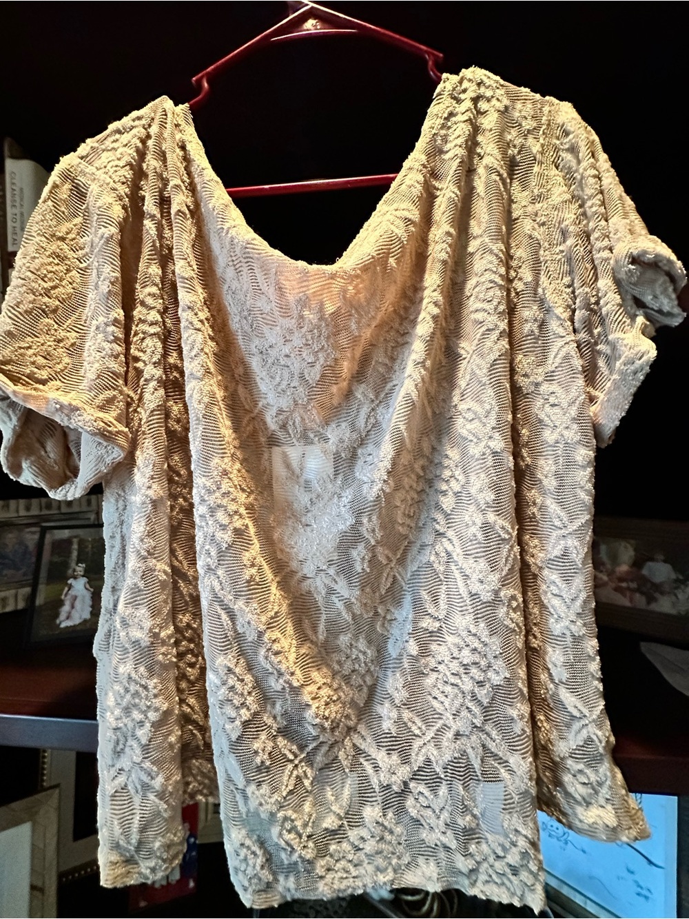 Joyfolie Cream Lace Short-Sleeve Blouse
